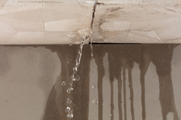 Professional Sewage Cleanup technician working in Bruceville, TX